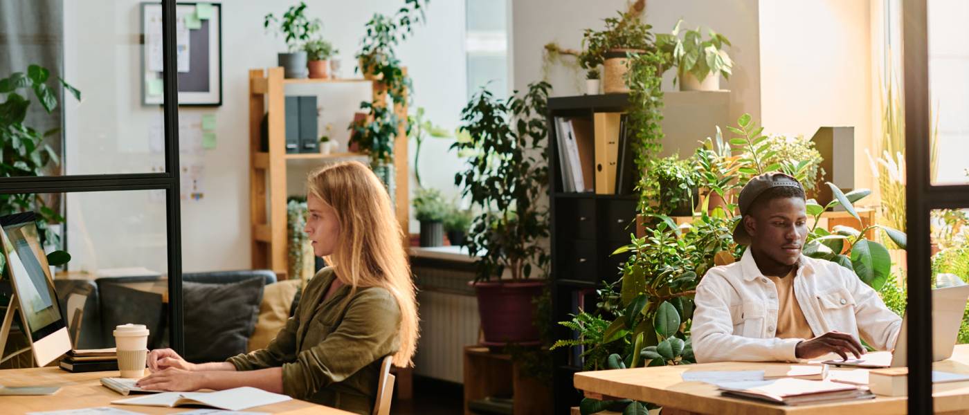 Two young intercultural designers working in front of computers while sitting by desks in openspace office with many green plants